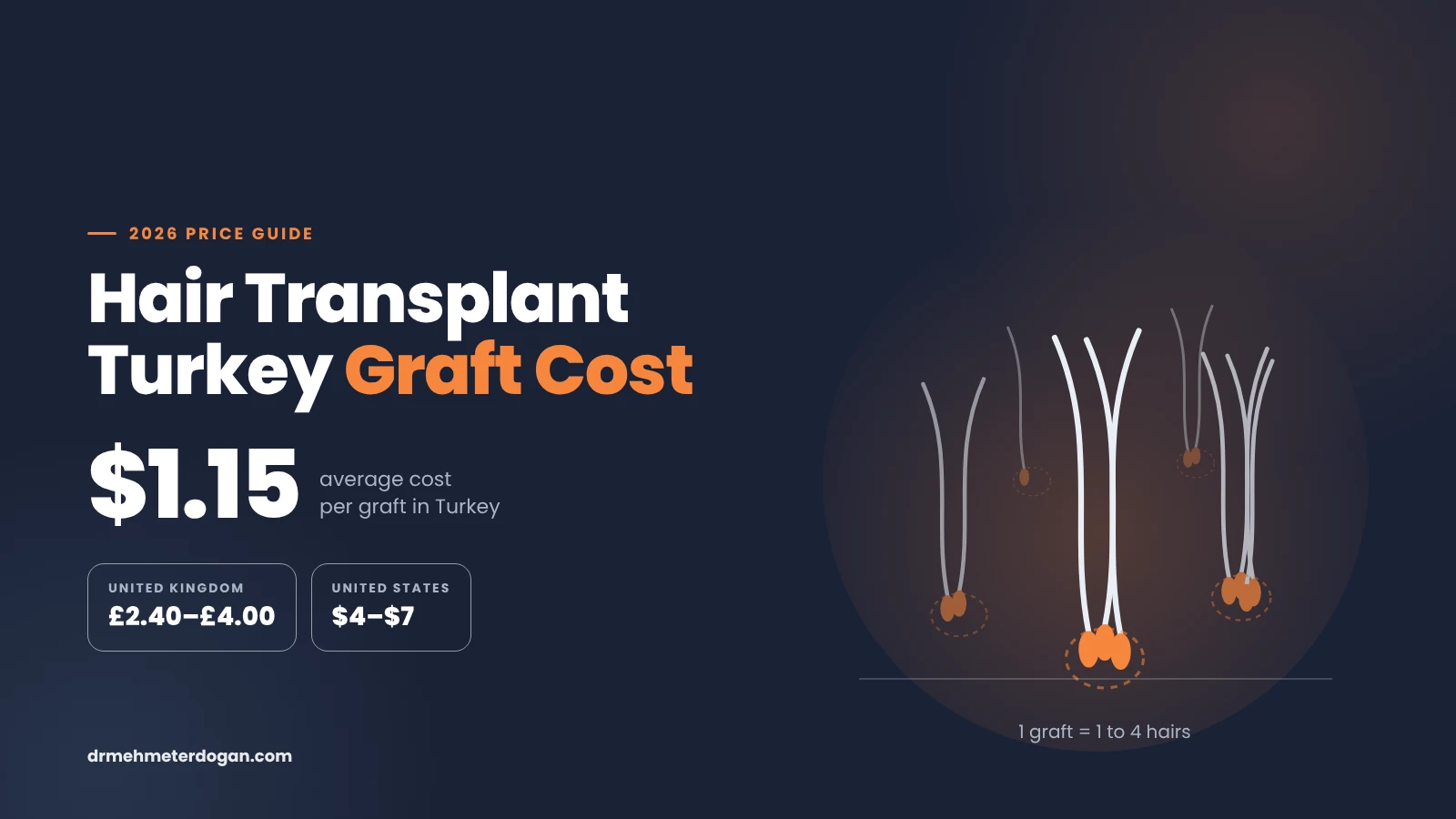 Hair Transplant Turkey Graft Cost
